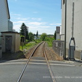 P1020512-1-1-1-0710