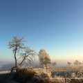 frickhofen-20170101-WA0000