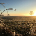 frickhofen-20170101-WA0001