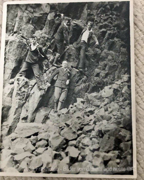 die halbstarken vier